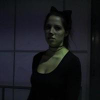 Catwoman Vs. Robin